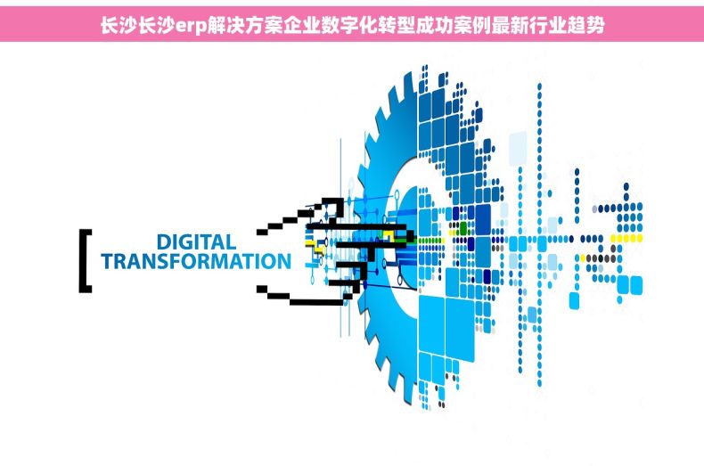 长沙长沙erp解决方案企业数字化转型成功案例最新行业趋势