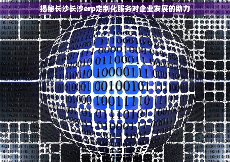 揭秘长沙长沙erp定制化服务对企业发展的助力
