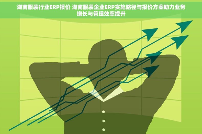 湖南服装行业ERP报价 湖南服装企业ERP实施路径与报价方案助力业务增长与管理效率提升