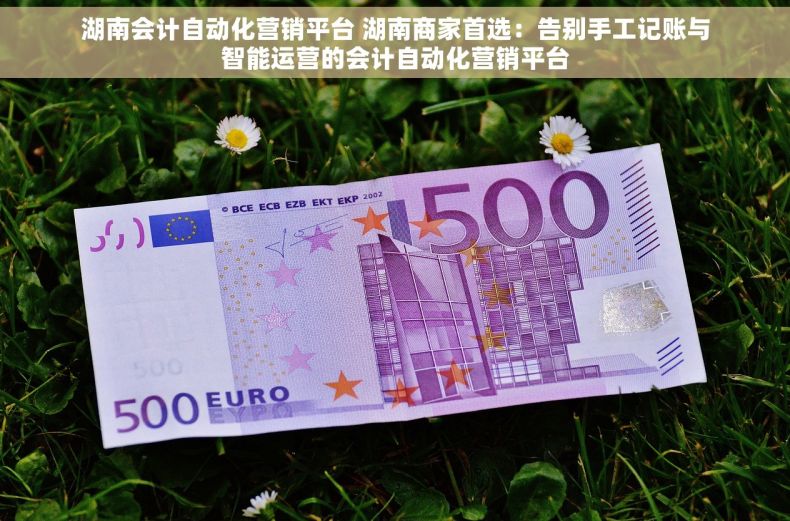 湖南会计自动化营销平台 湖南商家首选：告别手工记账与智能运营的会计自动化营销平台