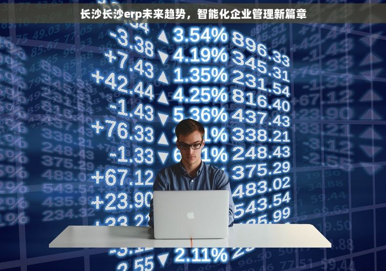 长沙长沙erp未来趋势，智能化企业管理新篇章