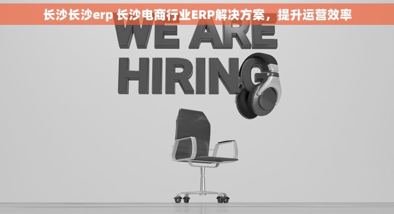长沙长沙erp 长沙电商行业ERP解决方案，提升运营效率