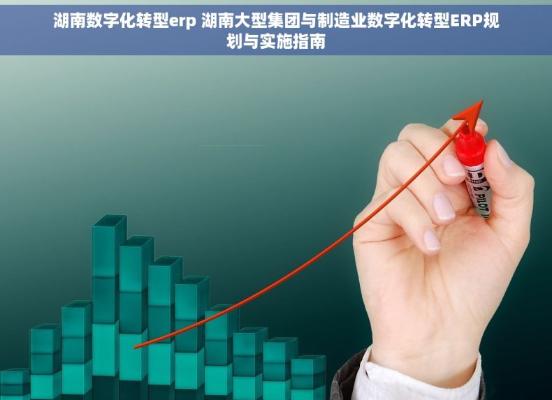 湖南数字化转型erp 湖南大型集团与制造业数字化转型ERP规划与实施指南