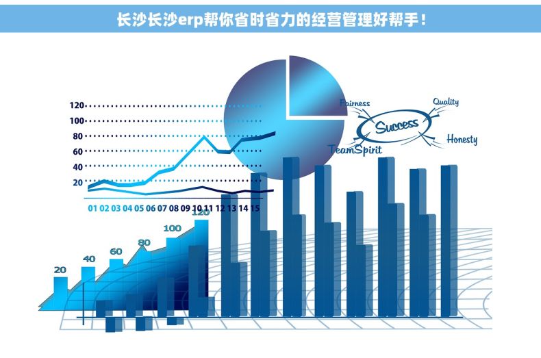 长沙长沙erp帮你省时省力的经营管理好帮手！
