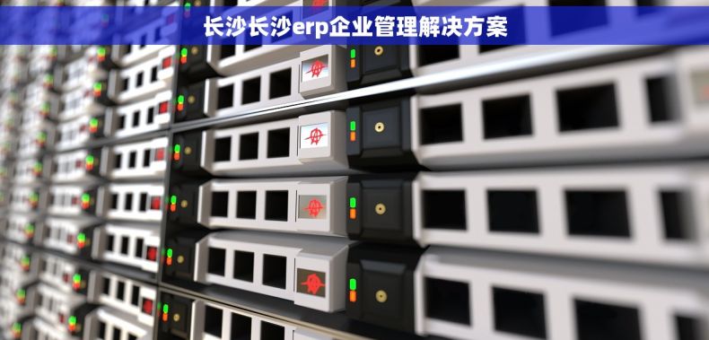 长沙长沙erp企业管理解决方案