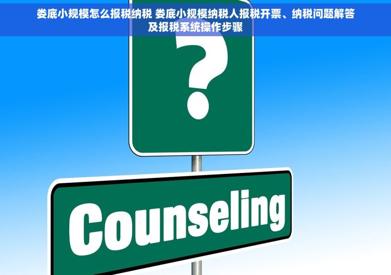 娄底小规模怎么报税纳税 娄底小规模纳税人报税开票、纳税问题解答及报税系统操作步骤