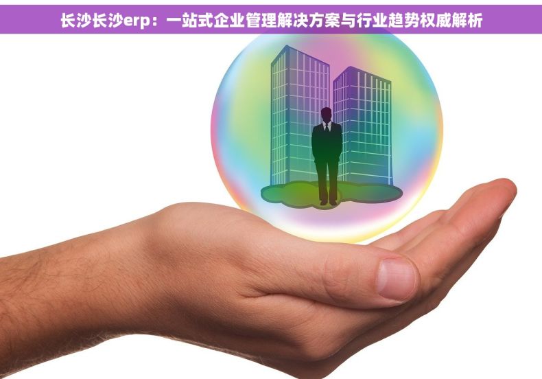 长沙长沙erp：一站式企业管理解决方案与行业趋势权威解析