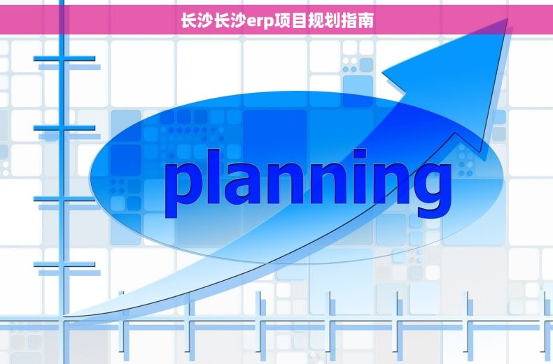长沙长沙erp项目规划指南