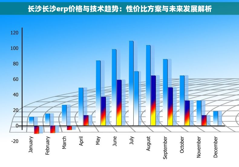 长沙长沙erp价格与技术趋势：性价比方案与未来发展解析