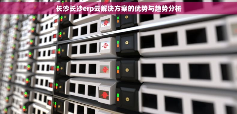 长沙长沙erp云解决方案的优势与趋势分析