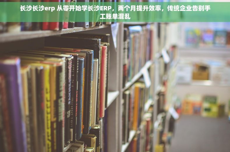 长沙长沙erp 从零开始学长沙ERP，两个月提升效率，传统企业告别手工账单混乱