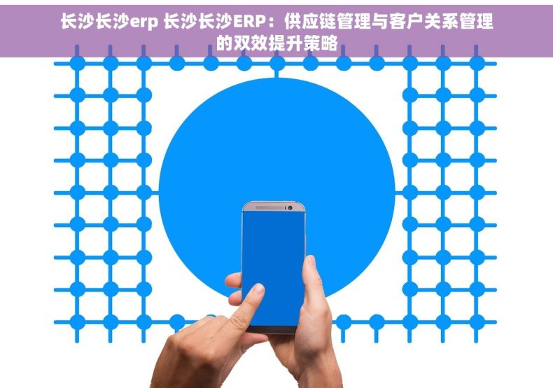 长沙长沙erp 长沙长沙ERP：供应链管理与客户关系管理的双效提升策略