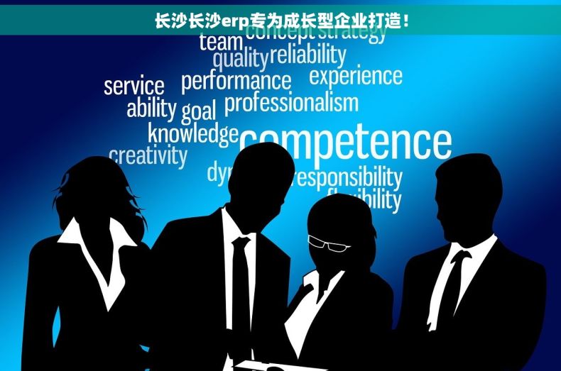 长沙长沙erp专为成长型企业打造！