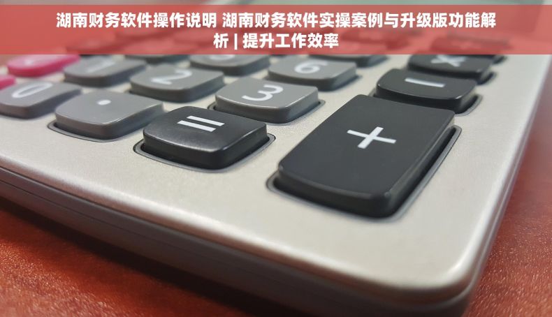湖南财务软件操作说明 湖南财务软件实操案例与升级版功能解析 | 提升工作效率