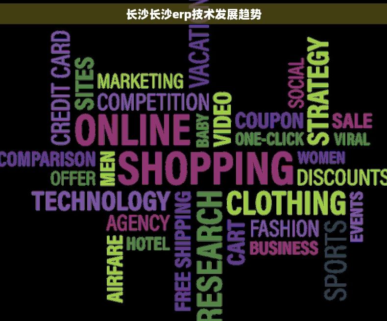 长沙长沙erp技术发展趋势