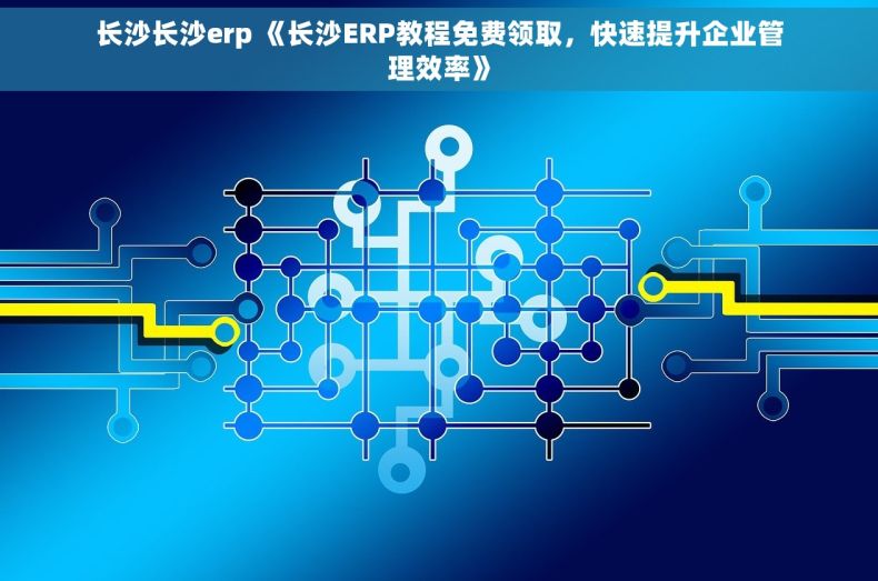 长沙长沙erp 《长沙ERP教程免费领取，快速提升企业管理效率》