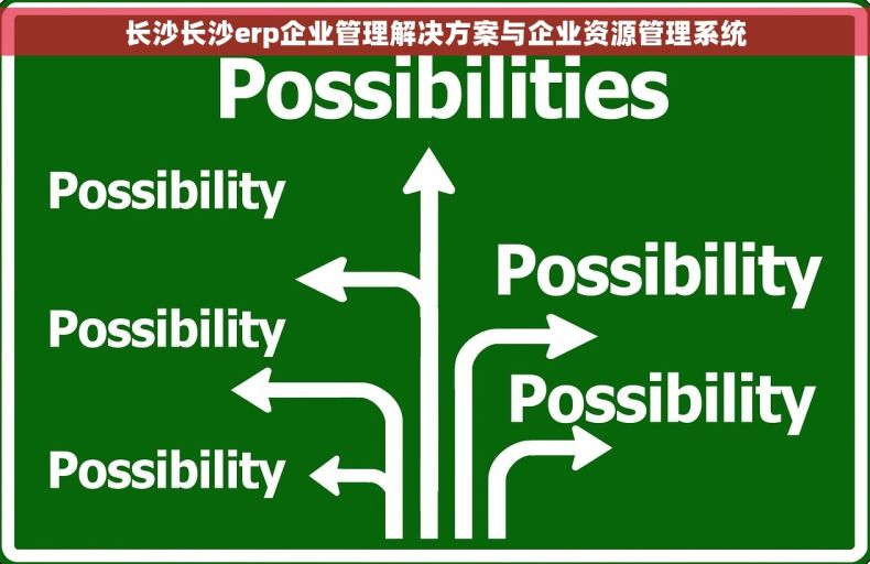 长沙长沙erp企业管理解决方案与企业资源管理系统
