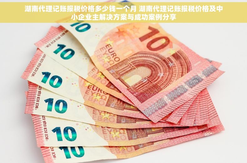 湖南代理记账报税价格多少钱一个月 湖南代理记账报税价格及中小企业主解决方案与成功案例分享