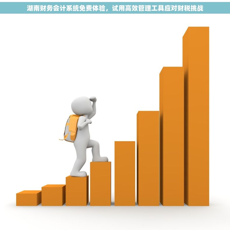 湖南财务会计系统免费体验，试用高效管理工具应对财税挑战