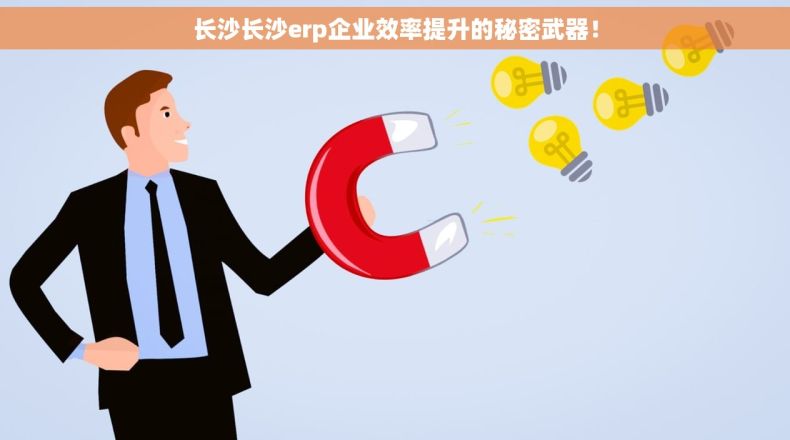 长沙长沙erp企业效率提升的秘密武器！