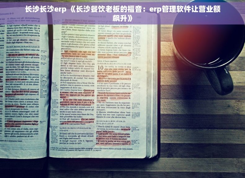 长沙长沙erp 《长沙餐饮老板的福音：erp管理软件让营业额飙升》