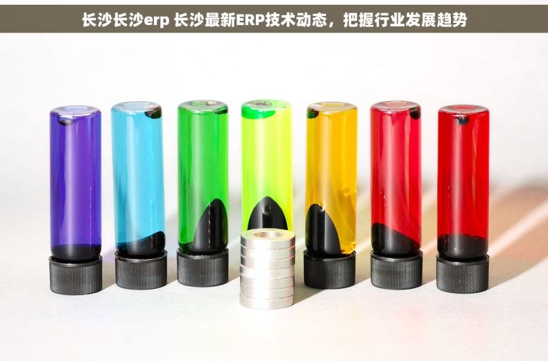 长沙长沙erp 长沙最新ERP技术动态，把握行业发展趋势