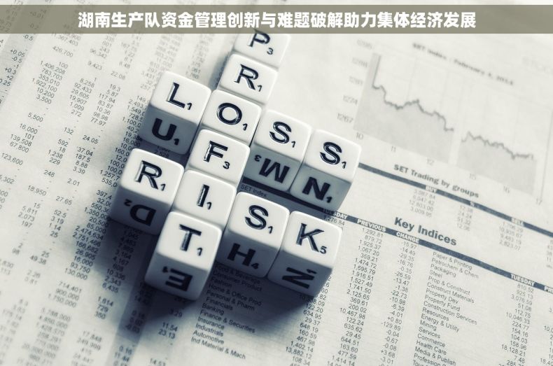 湖南生产队资金管理创新与难题破解助力集体经济发展