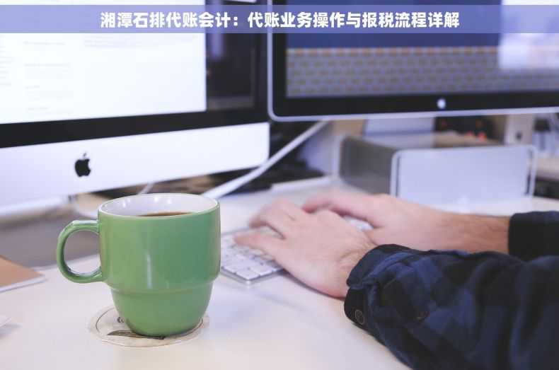 湘潭石排代账会计：代账业务操作与报税流程详解