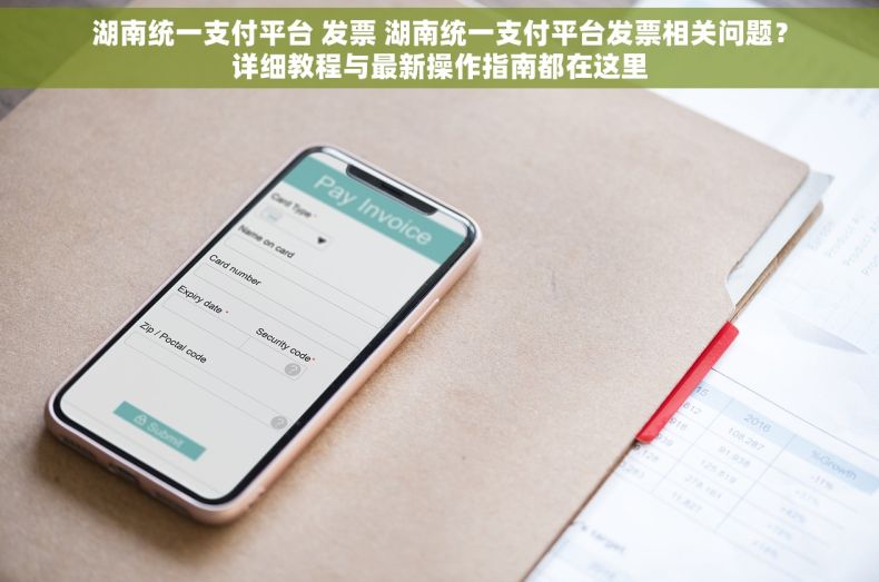 湖南统一支付平台 发票 湖南统一支付平台发票相关问题？详细教程与最新操作指南都在这里