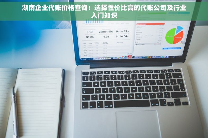 湖南企业代账价格查询：选择性价比高的代账公司及行业入门知识