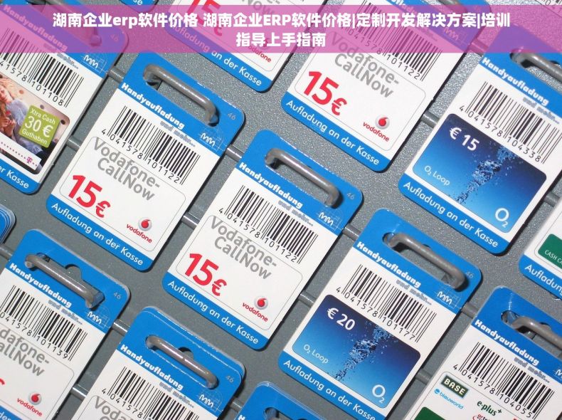 湖南企业erp软件价格 湖南企业ERP软件价格|定制开发解决方案|培训指导上手指南