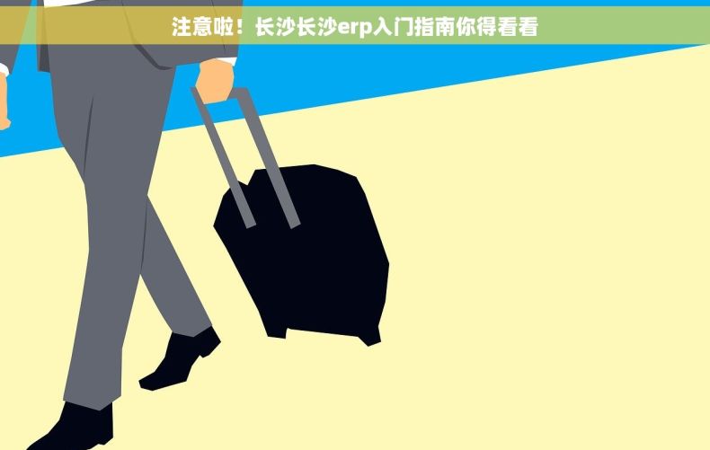 注意啦！长沙长沙erp入门指南你得看看