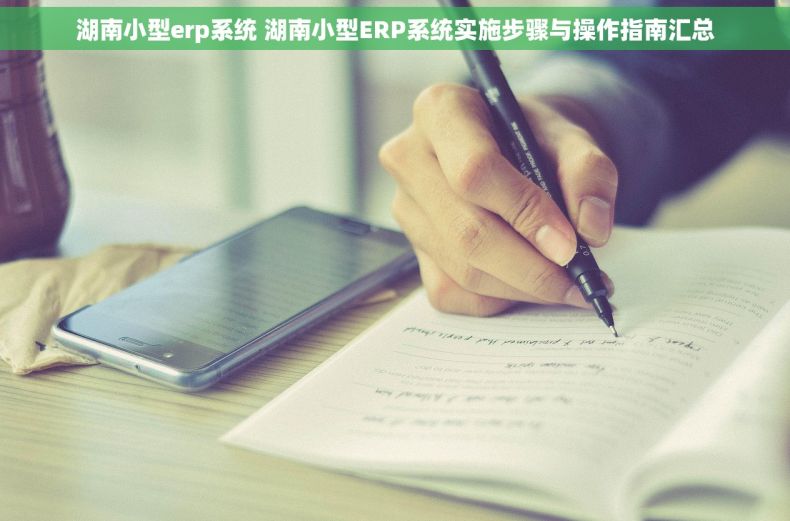 湖南小型erp系统 湖南小型ERP系统实施步骤与操作指南汇总