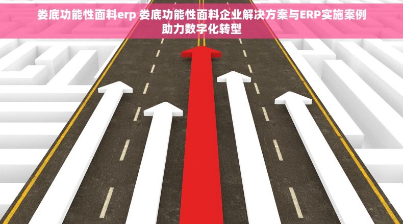 娄底功能性面料erp 娄底功能性面料企业解决方案与ERP实施案例助力数字化转型