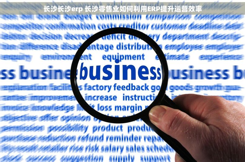 长沙长沙erp 长沙零售业如何利用ERP提升运营效率
