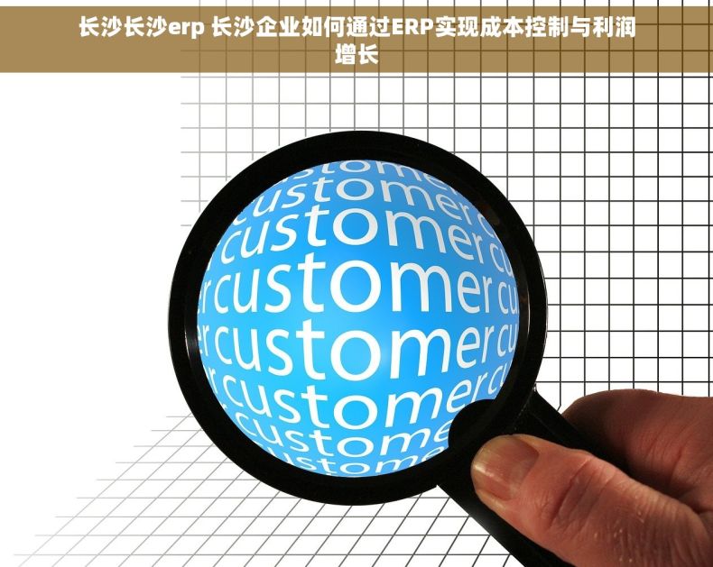 长沙长沙erp 长沙企业如何通过ERP实现成本控制与利润增长