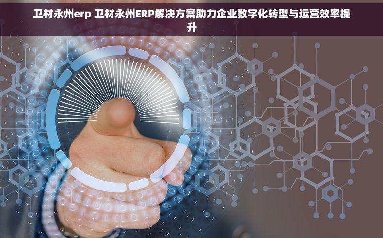 卫材永州erp 卫材永州ERP解决方案助力企业数字化转型与运营效率提升