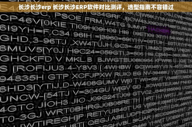 长沙长沙erp 长沙长沙ERP软件对比测评，选型指南不容错过