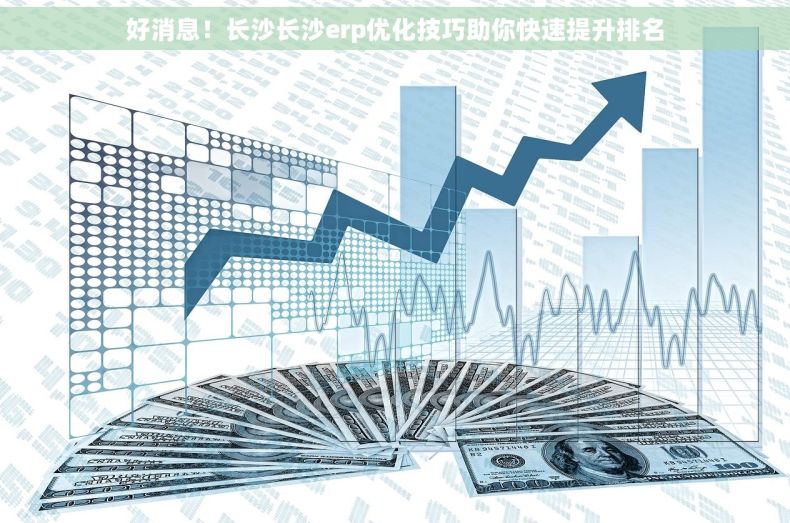 好消息！长沙长沙erp优化技巧助你快速提升排名