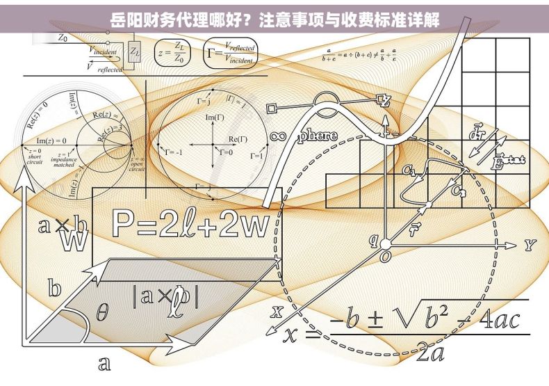岳阳财务代理哪好？注意事项与收费标准详解