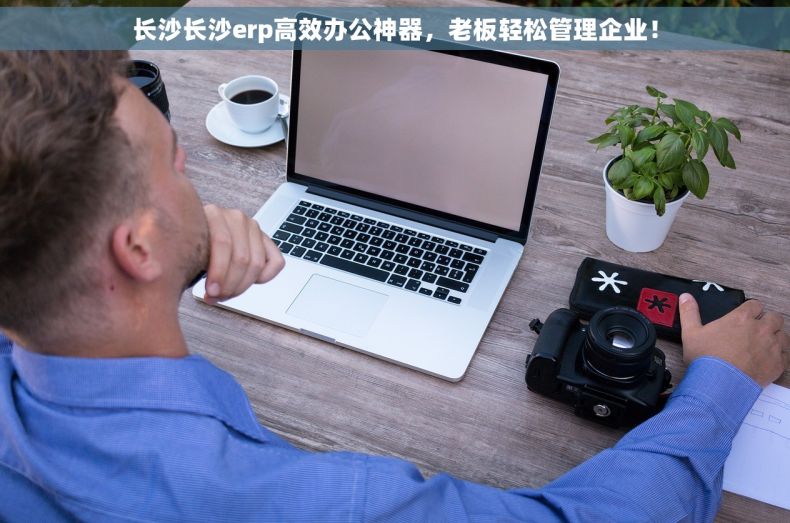 长沙长沙erp高效办公神器，老板轻松管理企业！