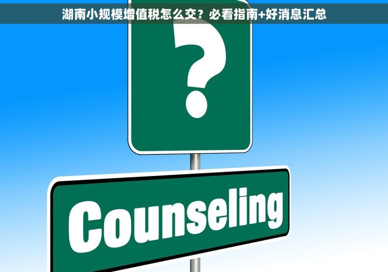 湖南小规模增值税怎么交？必看指南+好消息汇总