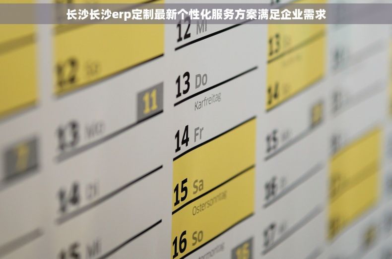 长沙长沙erp定制最新个性化服务方案满足企业需求