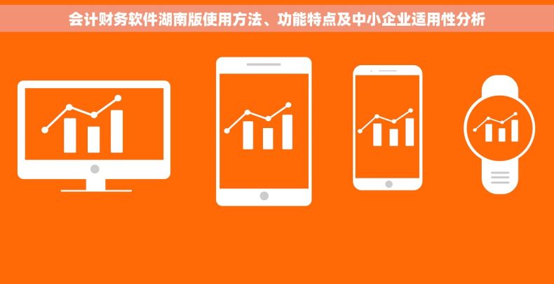 会计财务软件湖南版使用方法、功能特点及中小企业适用性分析