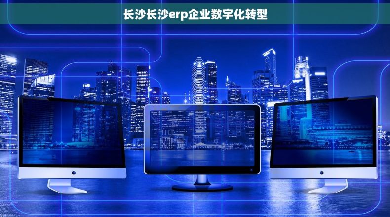 长沙长沙erp企业数字化转型