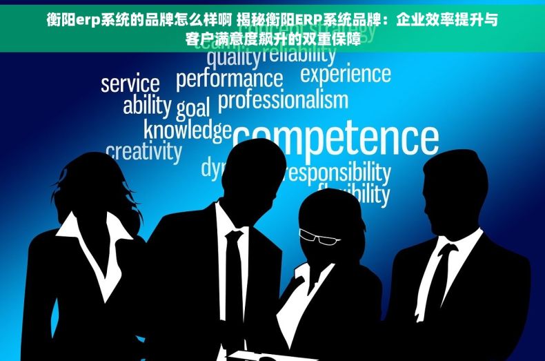 衡阳erp系统的品牌怎么样啊 揭秘衡阳ERP系统品牌：企业效率提升与客户满意度飙升的双重保障