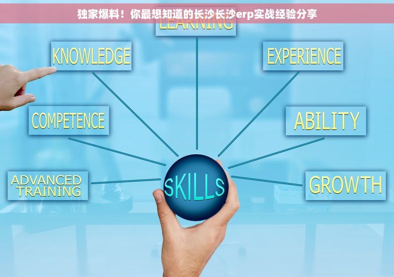 独家爆料！你最想知道的长沙长沙erp实战经验分享