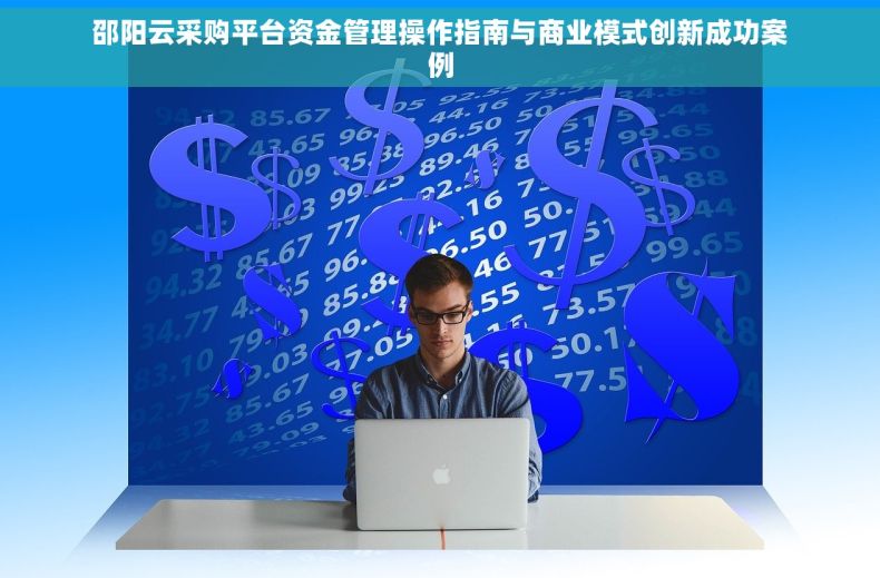 邵阳云采购平台资金管理操作指南与商业模式创新成功案例