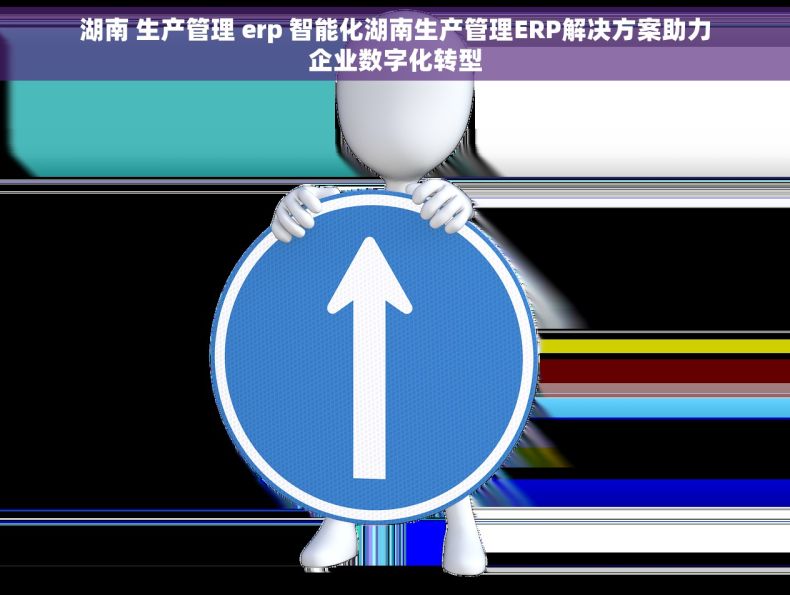 湖南 生产管理 erp 智能化湖南生产管理ERP解决方案助力企业数字化转型