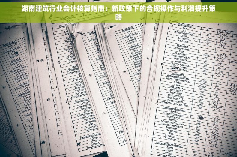 湖南建筑行业会计核算指南：新政策下的合规操作与利润提升策略